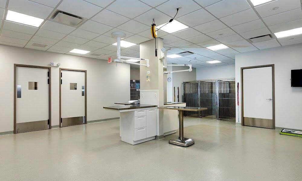 Bayside Animal Medical Center