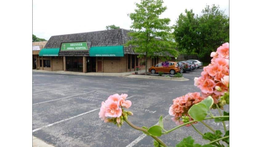 Brenner Animal Hospital