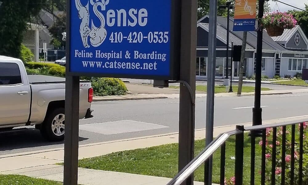 Cat Sense Feline Hospital And Boarding Inc