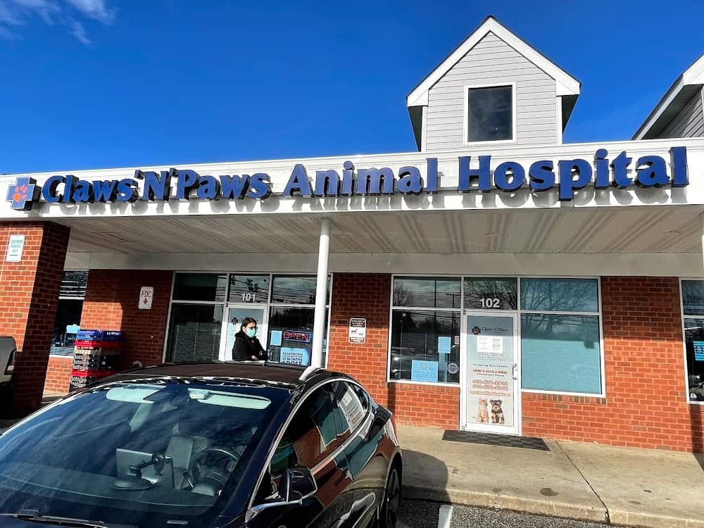 Claws N Paws Animal Hospital