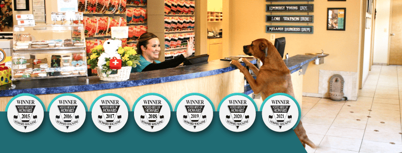 Countryside Veterinary Clinic