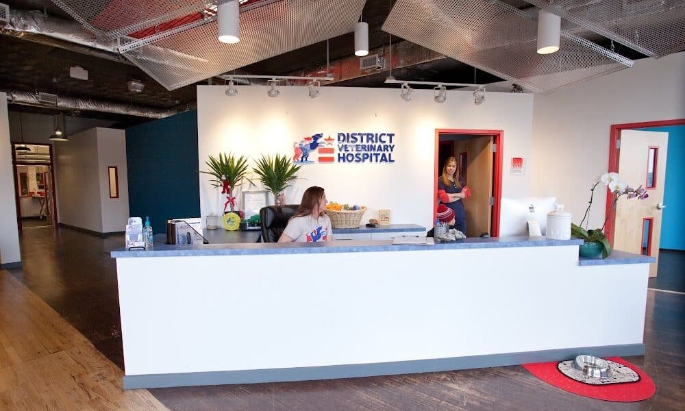 District Veterinary Hospital Brookland