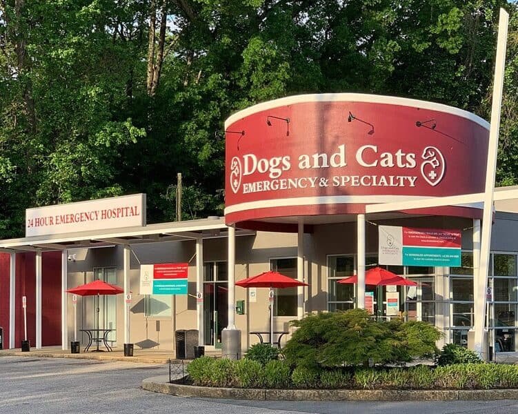 Dogs and Cats Emergency & Specialty