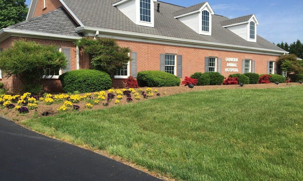 Dunkirk Animal Hospital