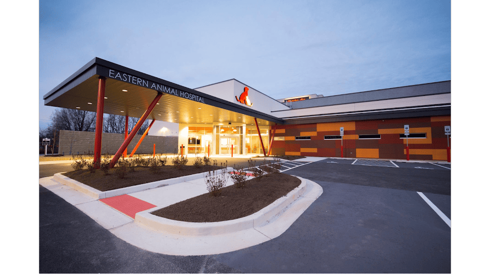 Eastern Animal Hospital