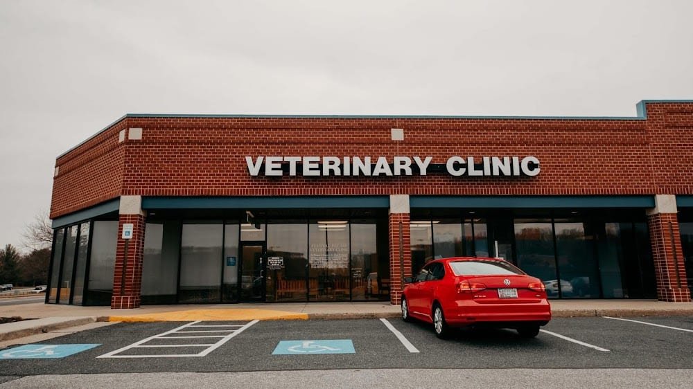 Festival Veterinary Clinic