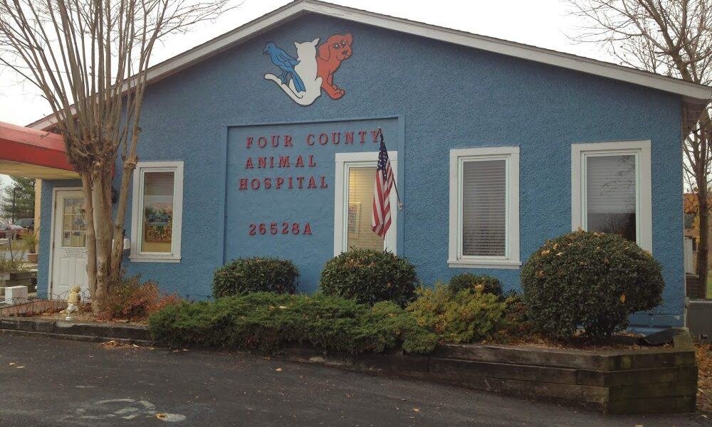 Four County Animal Hospital