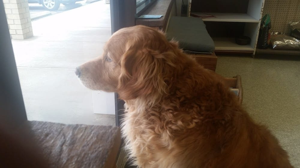 Patuxent Valley Animal Hospital