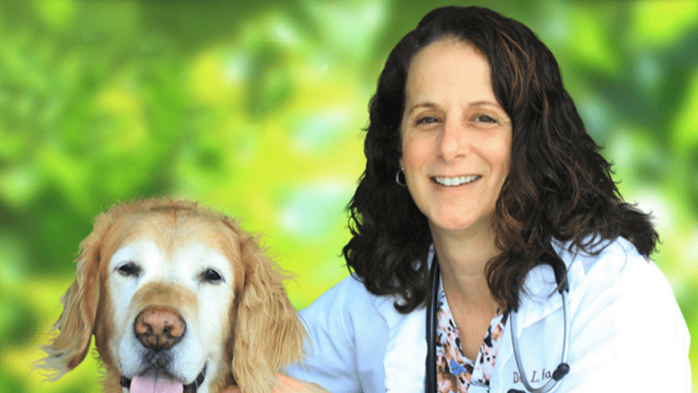 Prime Care Animal Hospital