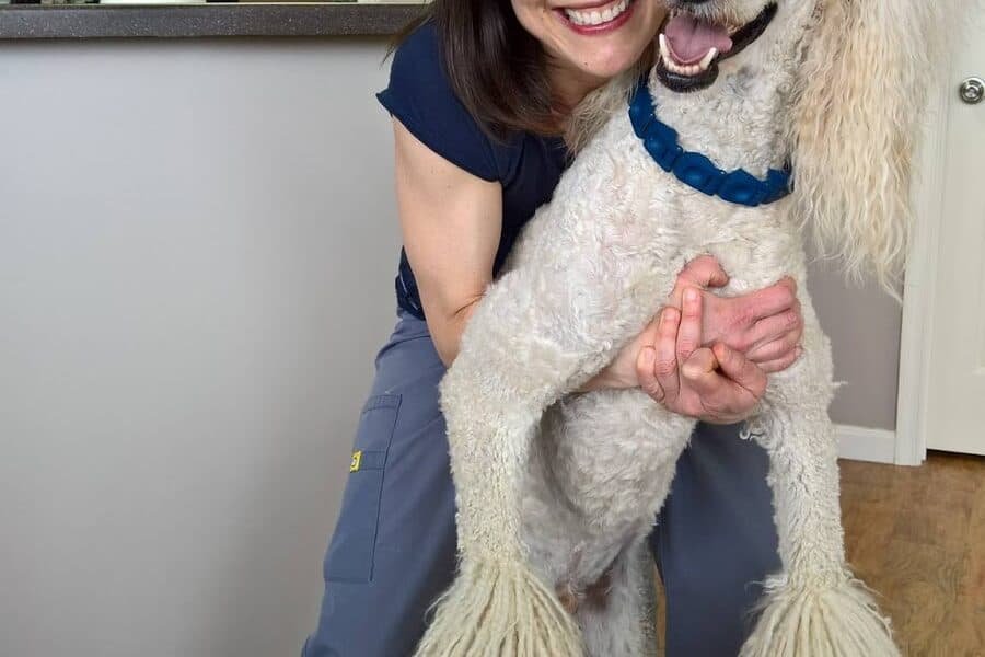South Carroll Veterinary Hospital