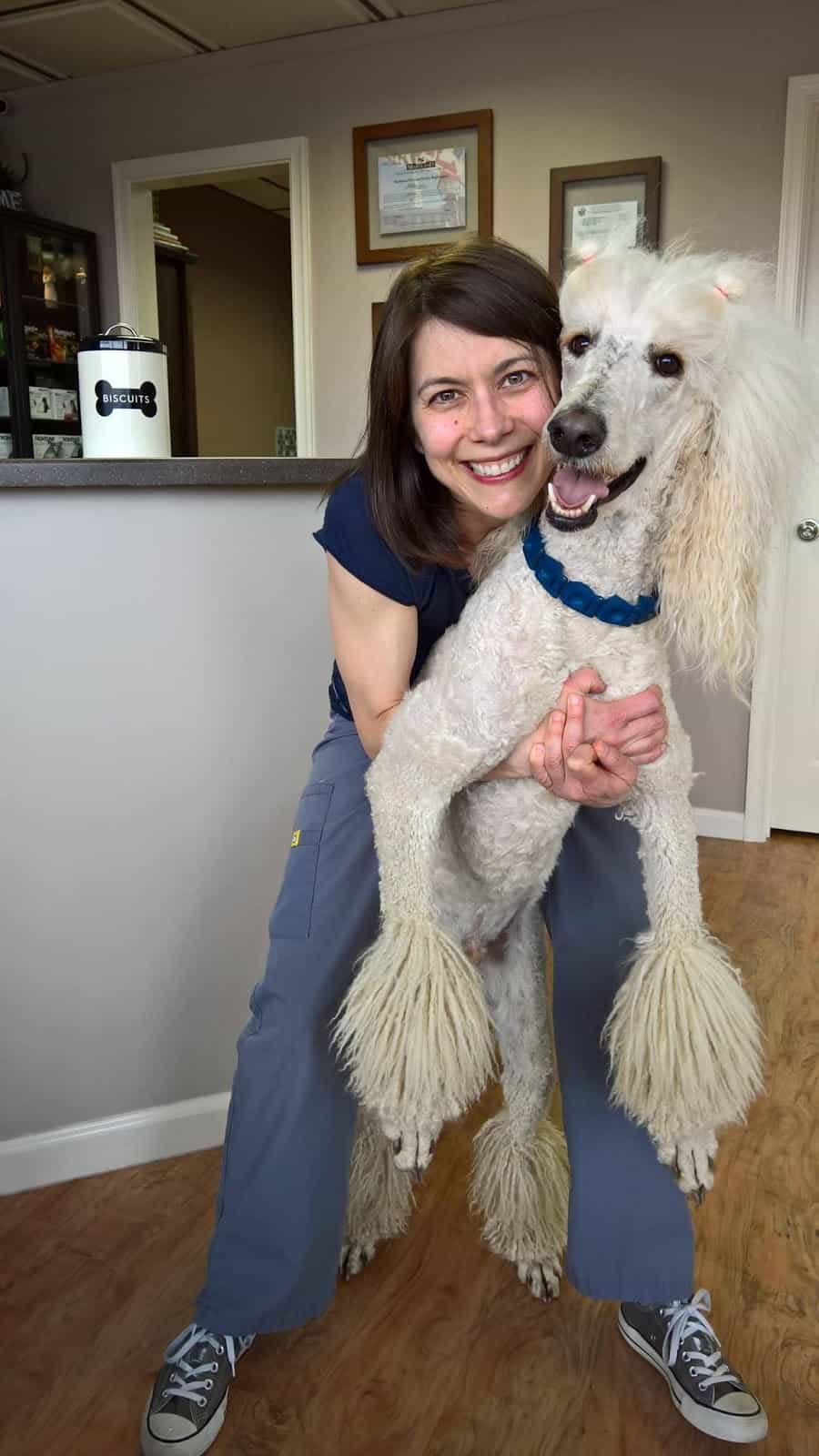 South Carroll Veterinary Hospital