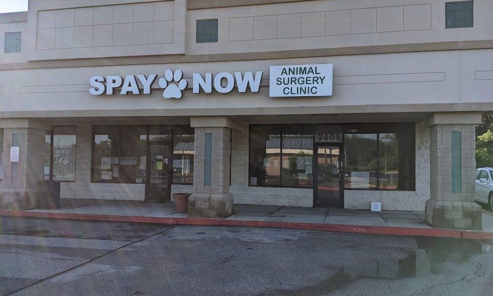 Spay Now Laurel Animal Surgery Clinic