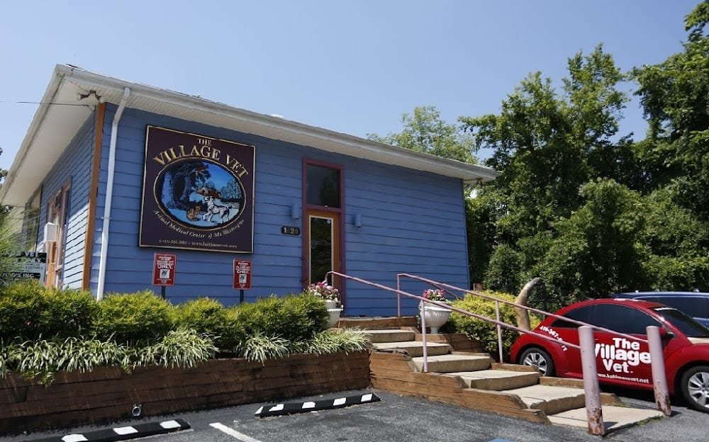 The Village Vet
