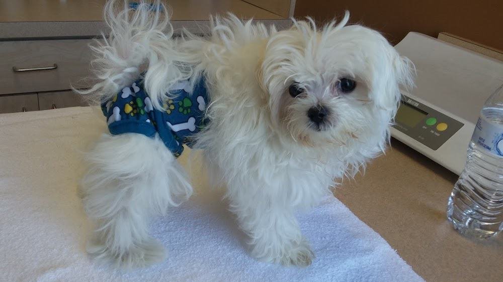 VCA Columbia Animal Hospital at Centre Park