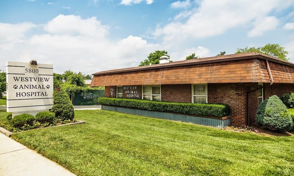 Westview Animal Hospital