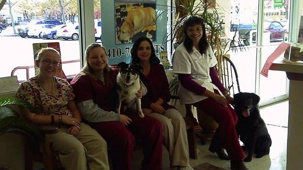 Alpha Veterinary Center