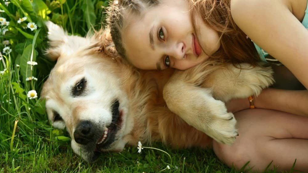 Animal Health Care of Marlboro