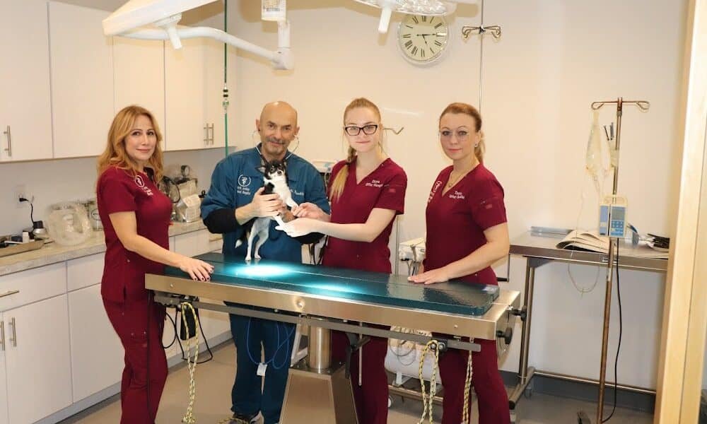 Animal Hospital Of Perth Amboy