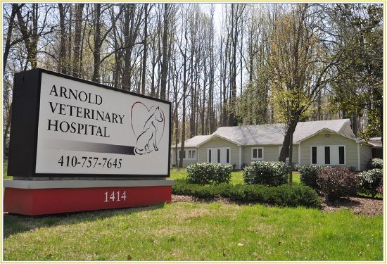 Arnold Veterinary Hospital