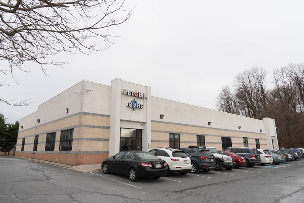 Atlantic Veterinary Internal Medicine & Oncology