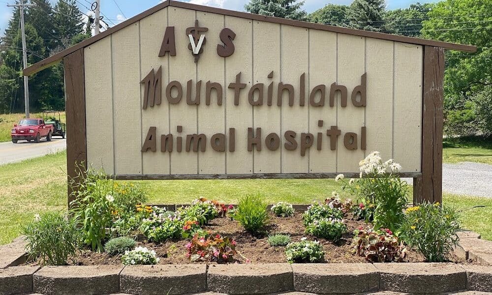 AVS Mountainland Animal Hospital