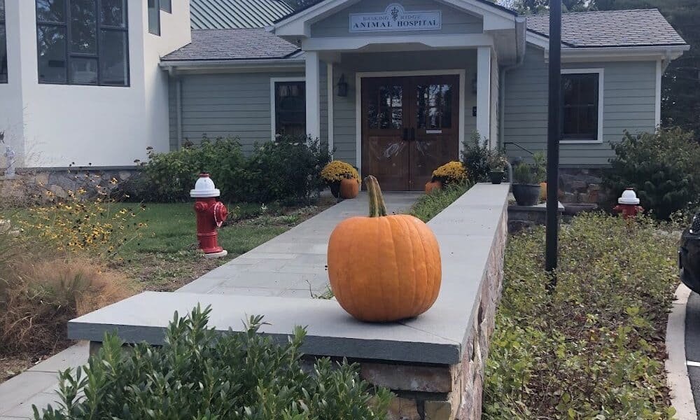 Basking Ridge Animal Hospital
