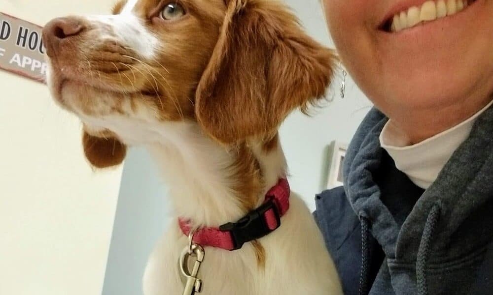 Bay Animal Hospital