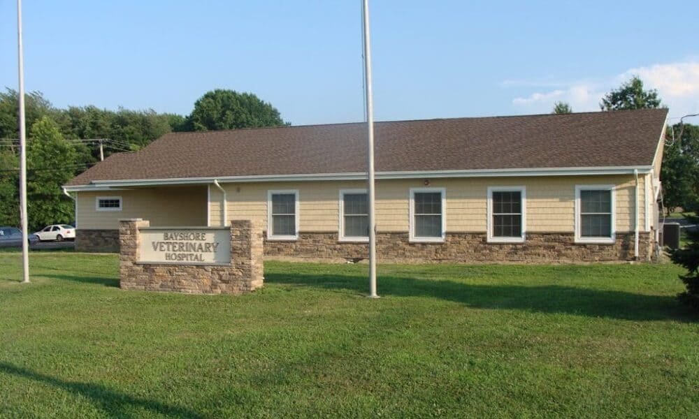 Bayshore Veterinary Hospital