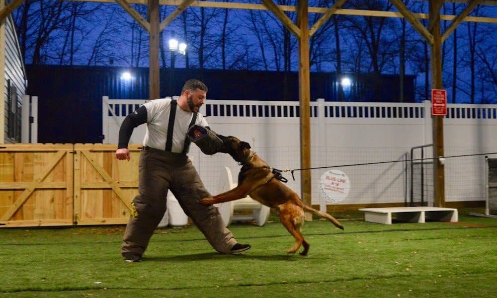 Blue Line K-9