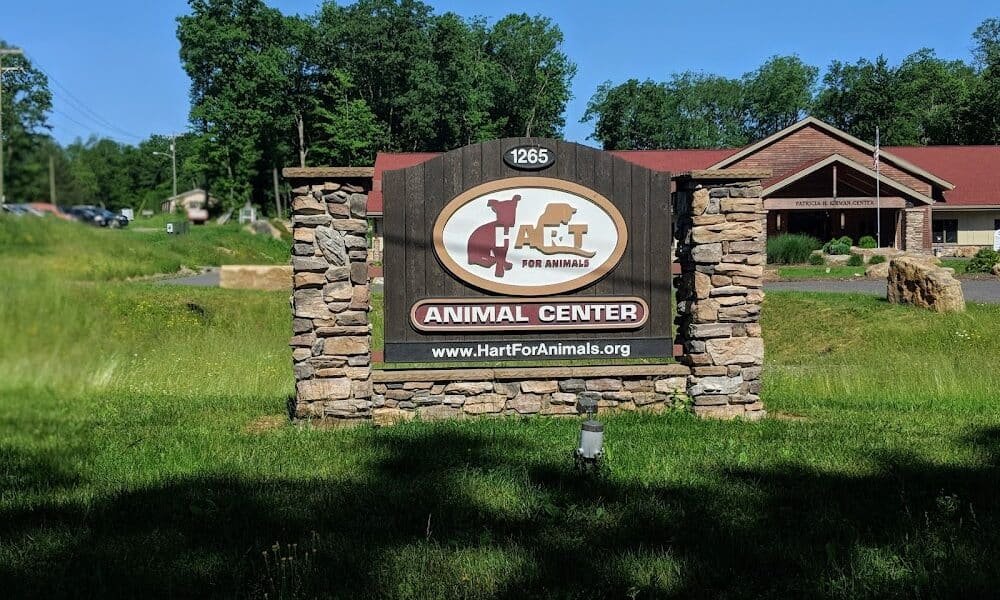 Bredel Veterinary Clinic