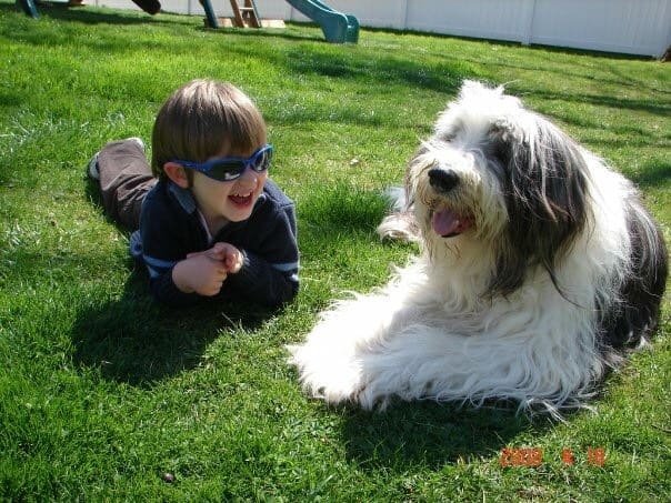 Caring Heart Animal Hospital
