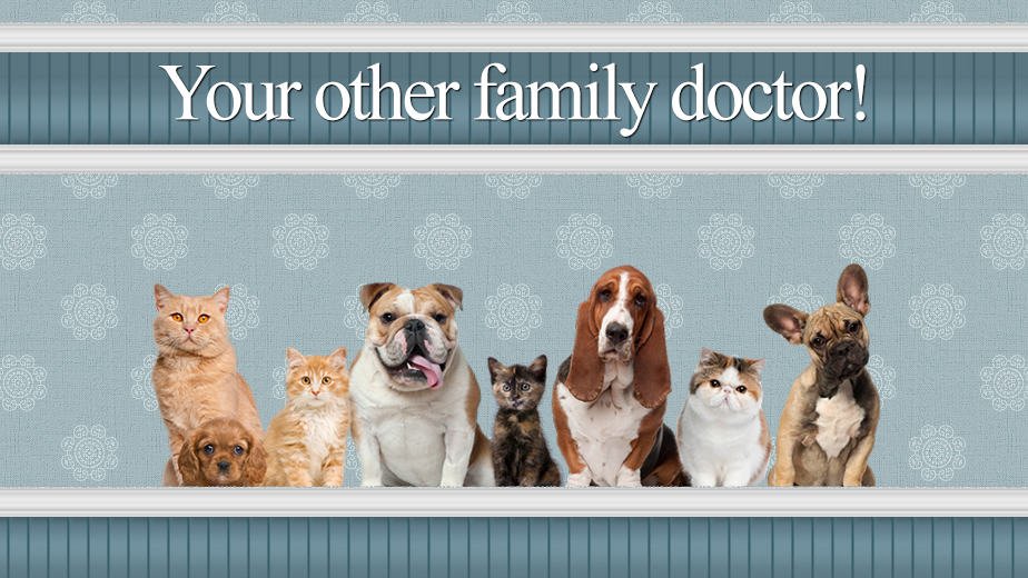 Central Jersey Veterinary Clinic