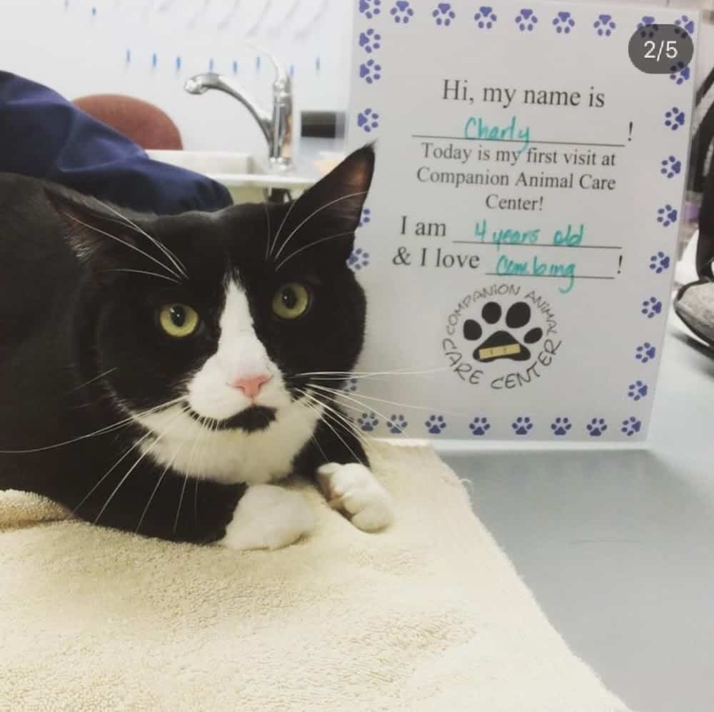 Companion Animal Care Center
