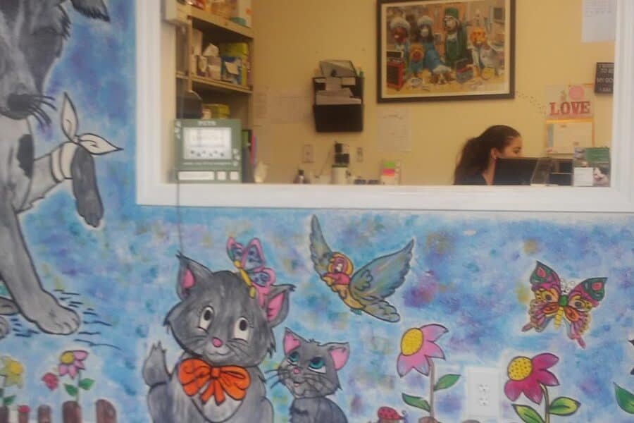 Country Animal Hospital