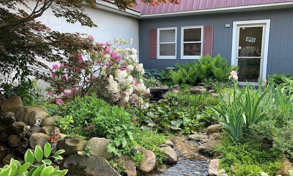Country Mile Pet Resort