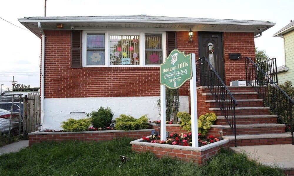 Dongan Hills Veterinary Practice
