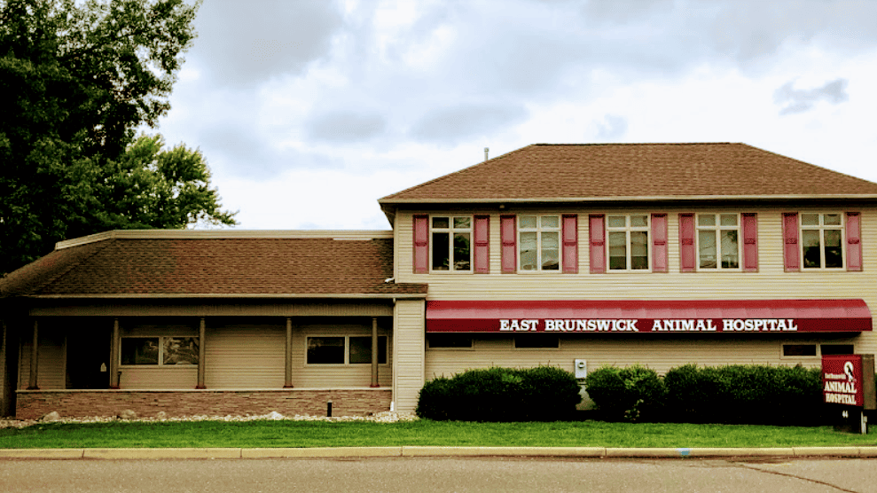 East Brunswick Animal Hospital