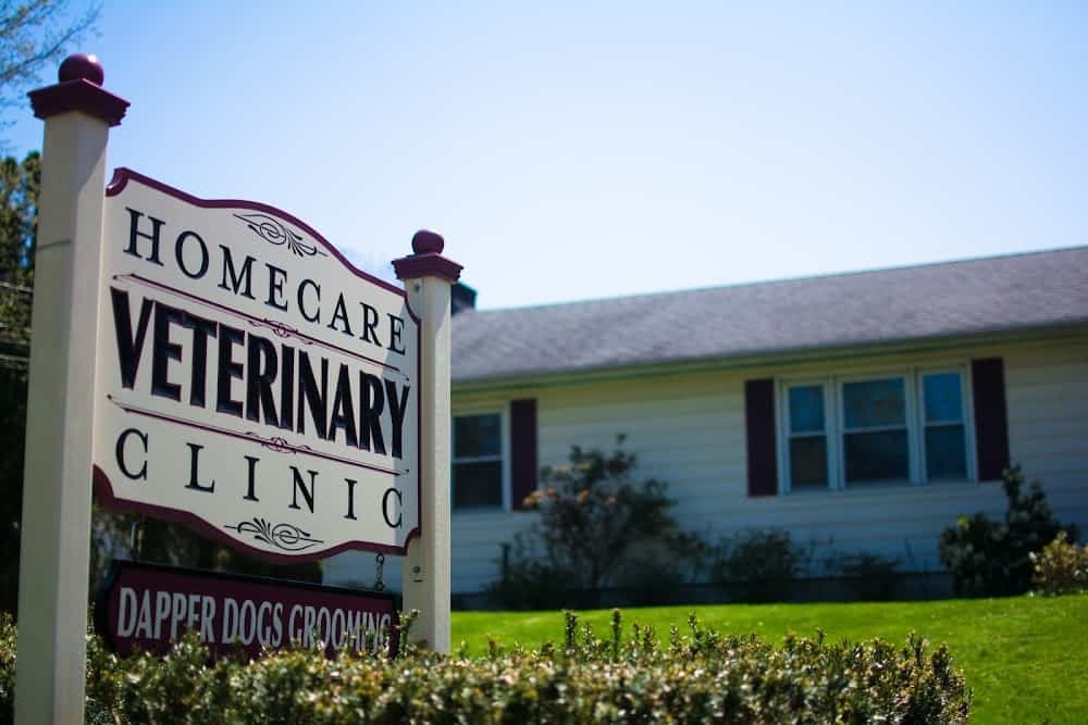 HomeCare Veterinary Clinic