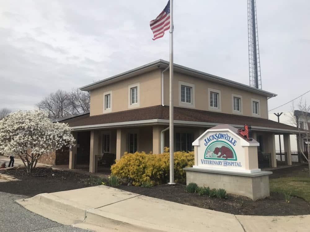 Jacksonville Veterinary Hospital