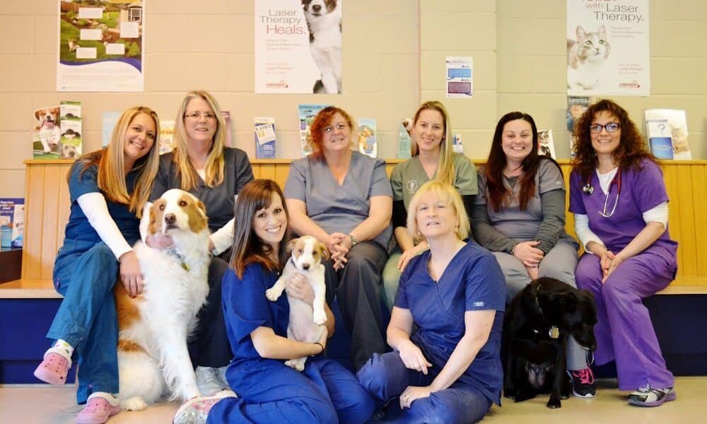 Laurelton Veterinary Hospital