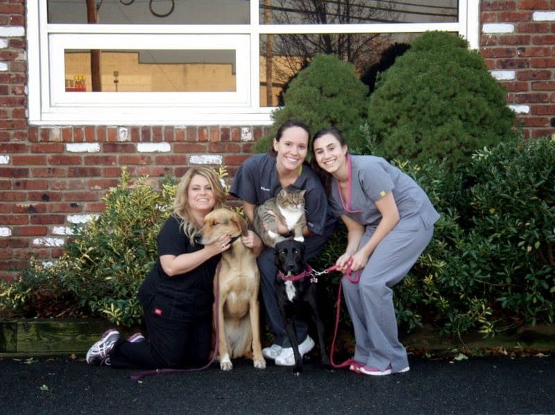 Livingston Animal Hospital