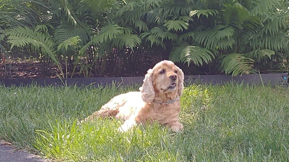 Lums Pond Animal Hospital