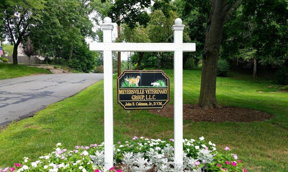 Meyersville Veterinary Group