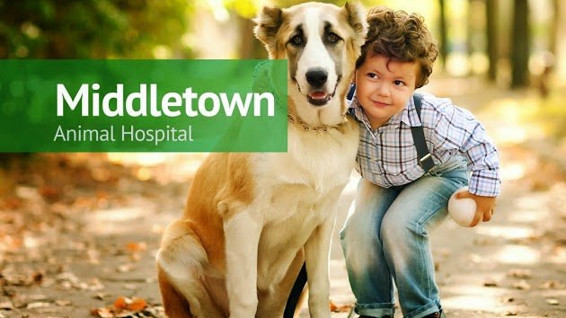 Middletown Animal Hospital