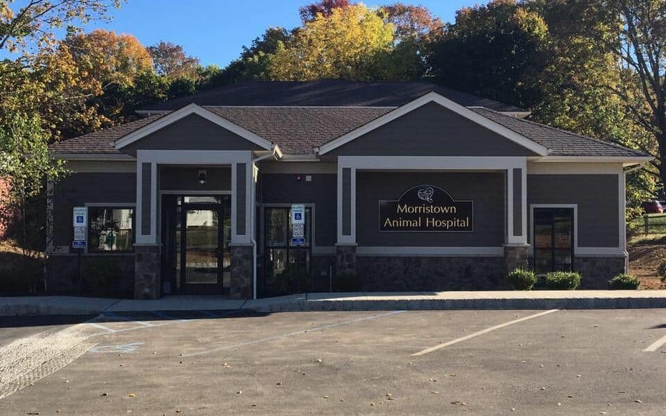 Morristown Animal Hospital