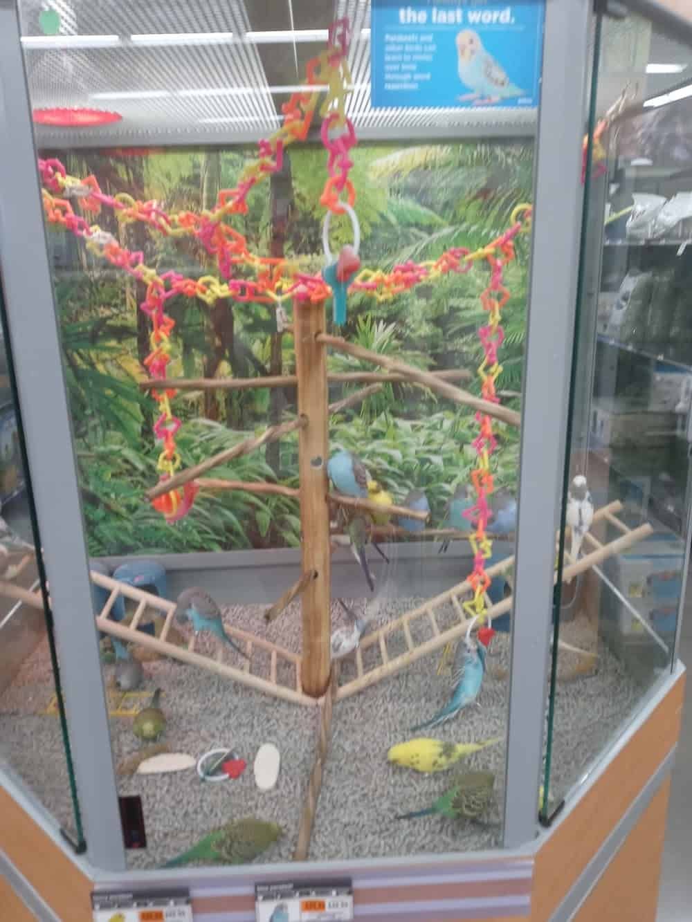 Petco