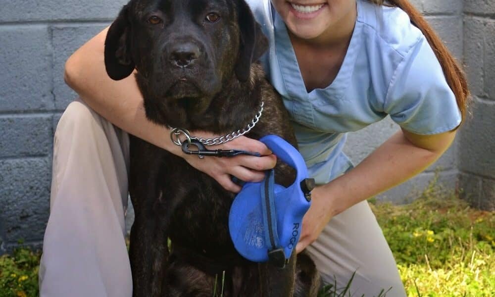 Pet’s Best Friend Veterinary Hospital