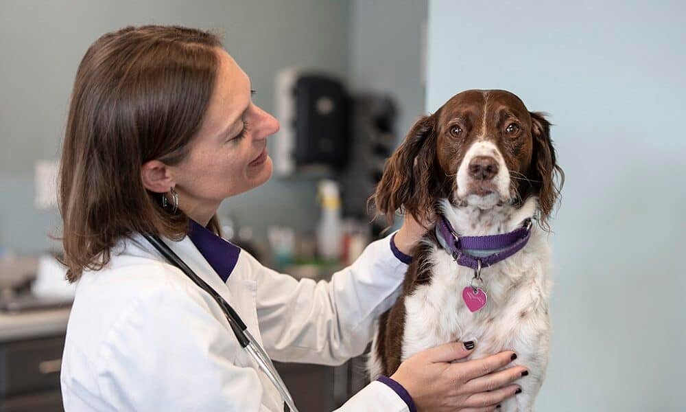 PetWellClinic – Green Brook
