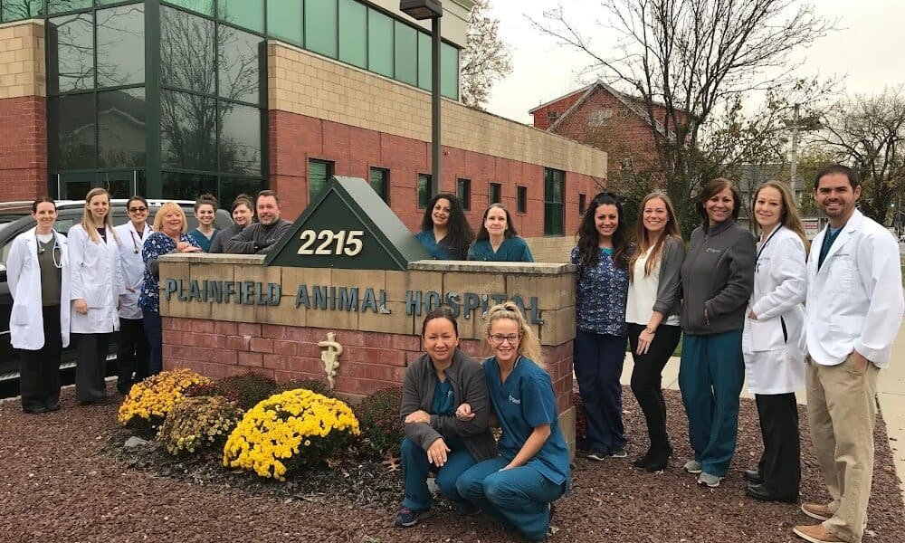 Plainfield Animal Hospital