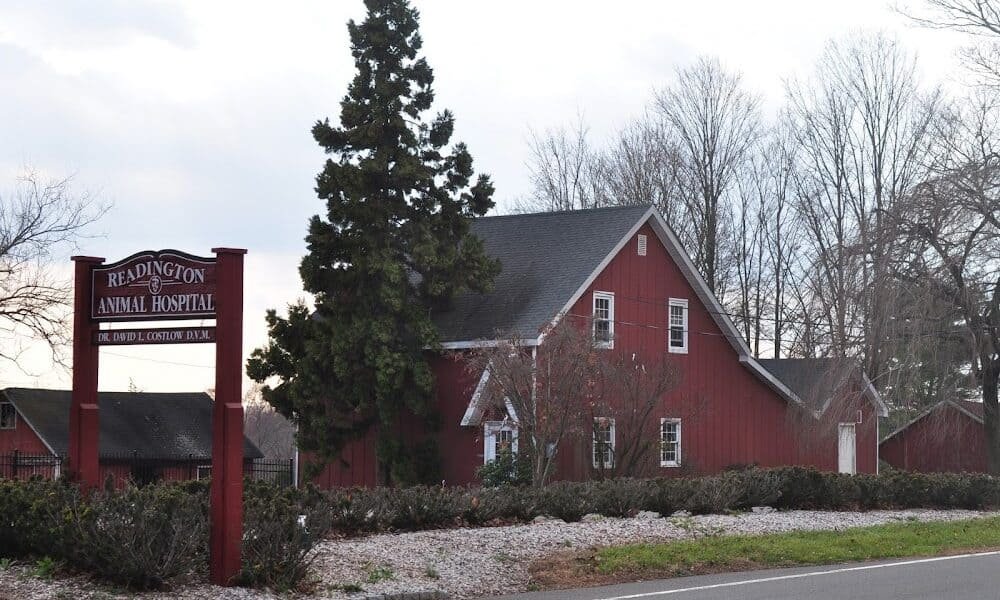 Readington Animal Hospital